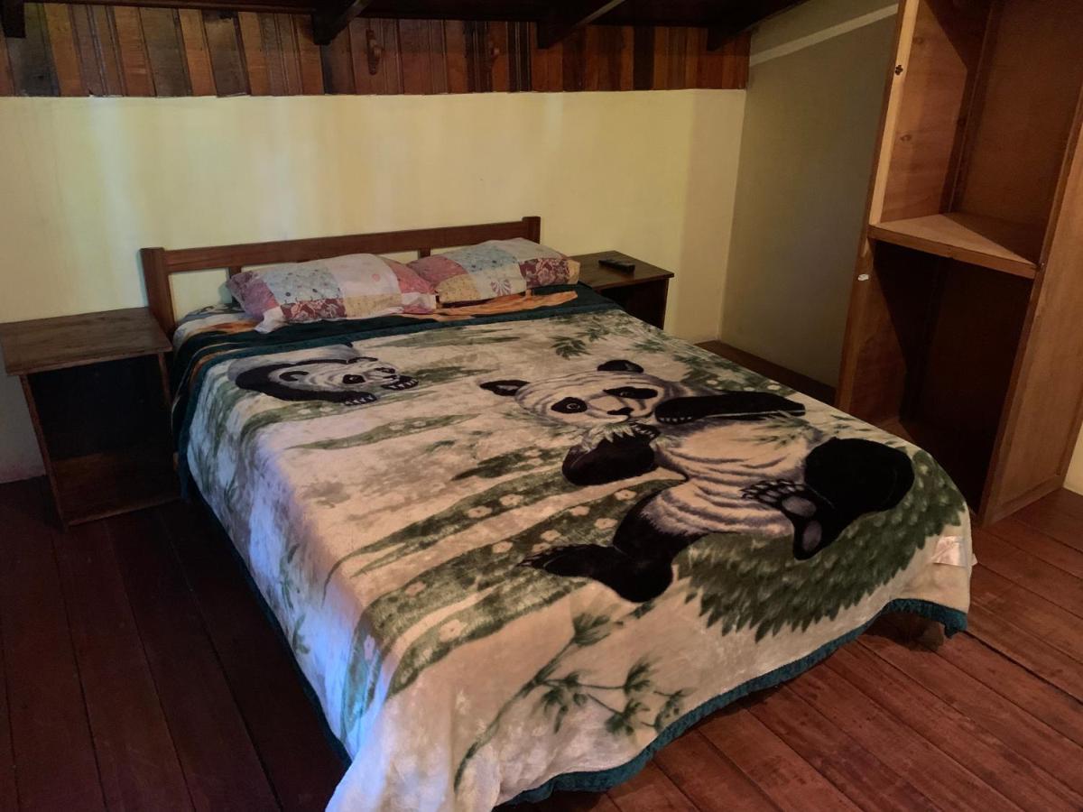 بويرتو إجوازو Litt Iguazu Hostal المظهر الخارجي الصورة