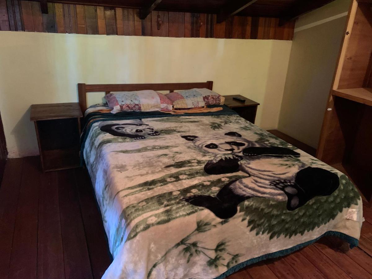 بويرتو إجوازو Litt Iguazu Hostal المظهر الخارجي الصورة